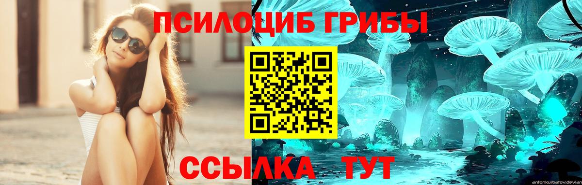 Галлюциногенные грибы GOLDEN TEACHER  Вход с VPN  Псилоцибиновые грибы Cubensis  Кирово-Чепецк 